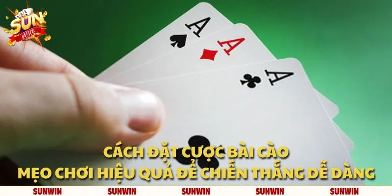 Cách đặt cược bài Cào: Mẹo chơi hiệu quả để chiến thắng dễ dàng